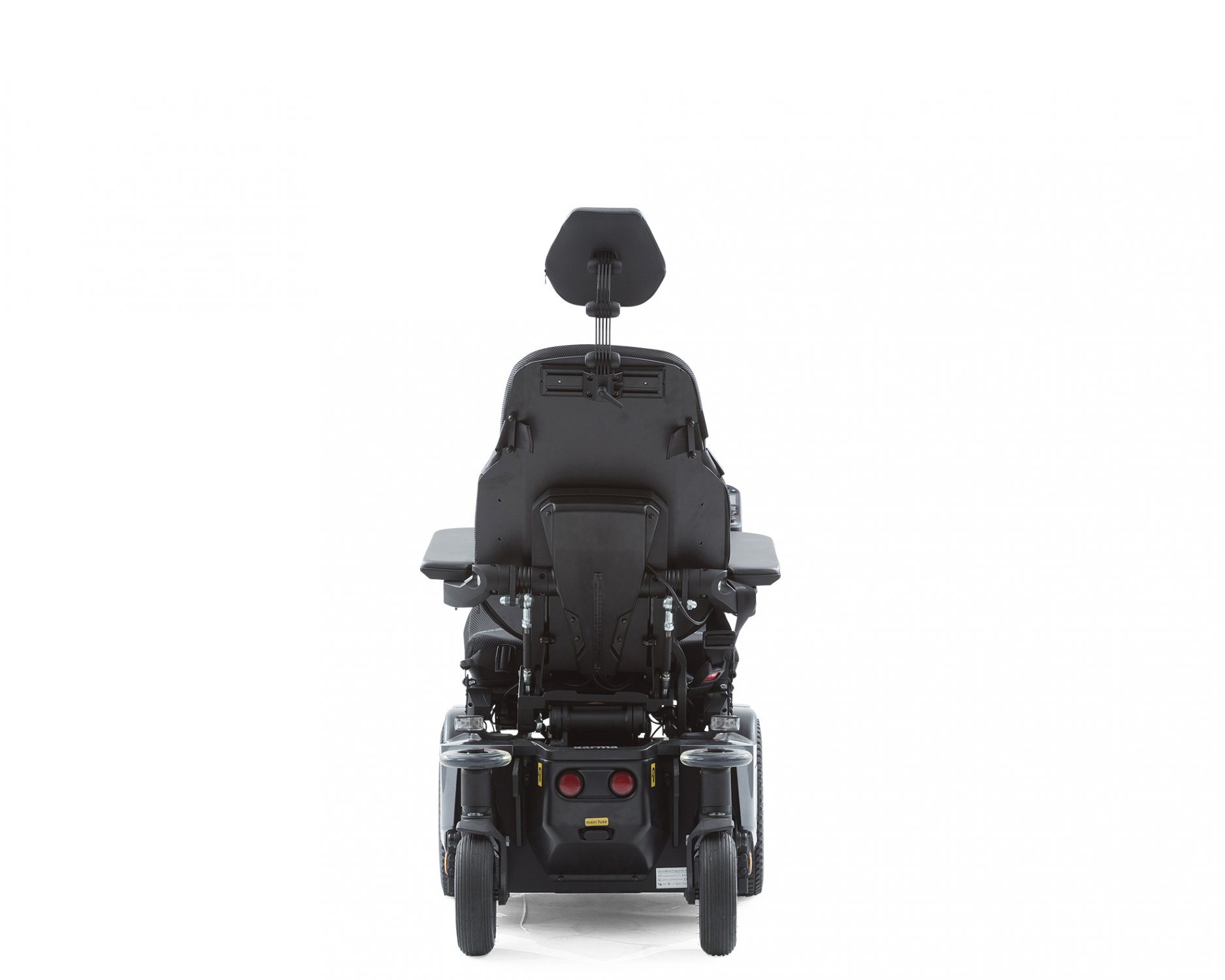 Back view
