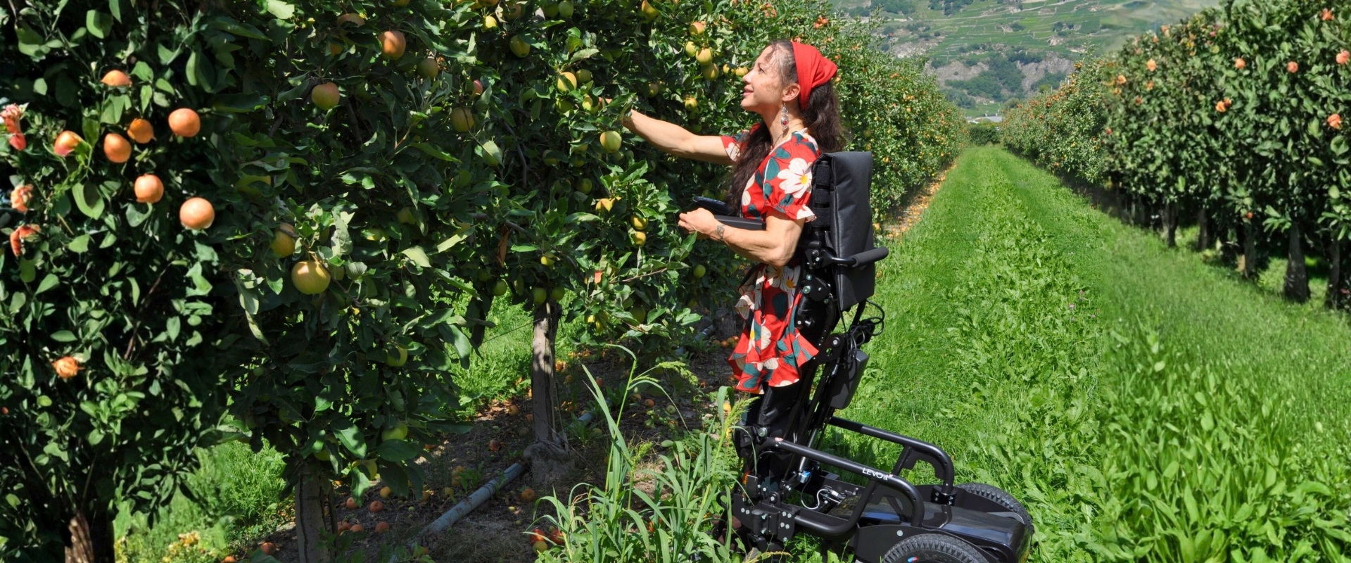 banner lcm2 hoofdpagina