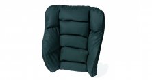 Bendix rugleuning